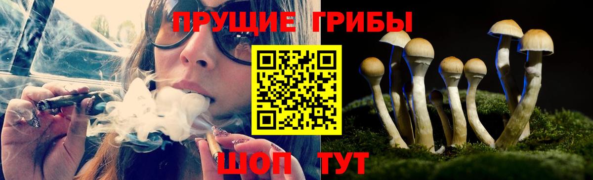 Галлюциногенные грибы MAGIC MUSHROOMS Новороссийск